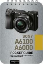 Sony a6100: Pocket Guide