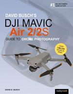 David Busch's DJI Mavic Air 2/2S Guide to Drone Photography 