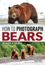 How to Photograph Bears