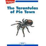 Tarantulas of Pie Town, The