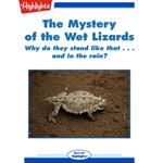 Mystery of the Wet Lizards, The