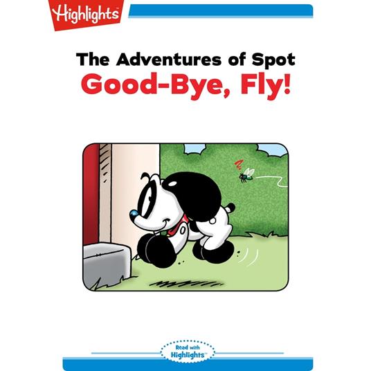 Goodbye Fly