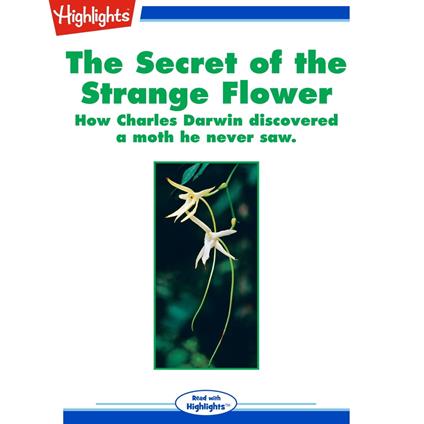 Secret of the Strange Flower, The