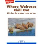 Where Walruses Chill Out