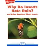 Why Do Insects Hate Rain?