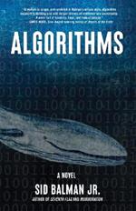 Algorithms: A Novel