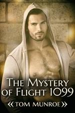 The Mystery of Flight 1099