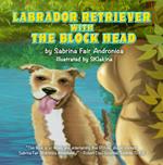 Labrador Retriever With The Block Head