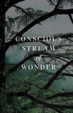 Conscious Stream of Wonder