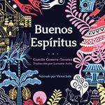 Buenos espíritus (High Spirits)