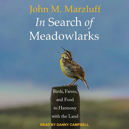 In Search of Meadowlarks