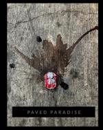 Paved Paradise: a look at what is left behind