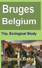 Bruges, Belgium: Trip, Ecological Study