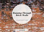 Running Through Brick Walls