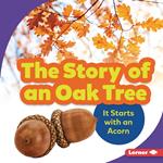 The Story of an Oak Tree