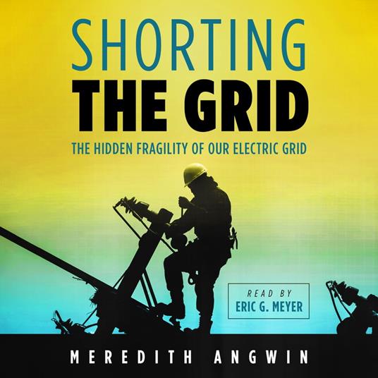 Shorting the Grid