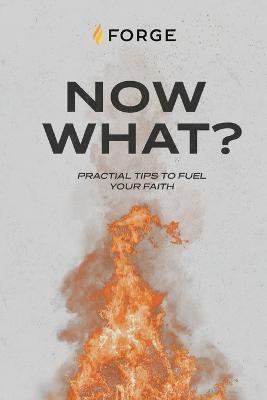 Now What?: Practical Tips to Fuel Your Faith - cover