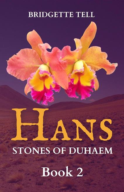 Hans: Stones of Duhaem