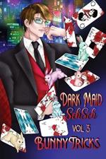 Bunny Tricks: Dark Maid Sehseh Vol 3
