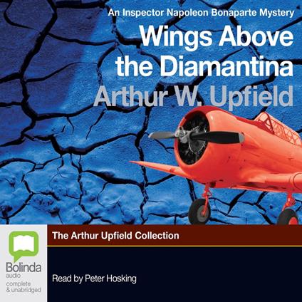 Wings Above the Diamantina