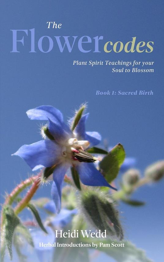 The Flower Codes: Plant Spirit Teachings for your Soul to Blossom