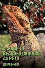 Guide to Bearded Dragons as Pets