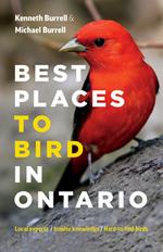 Best Places to Bird in Ontario