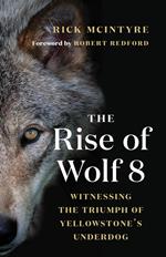 The Rise of Wolf 8