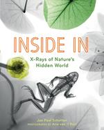 Inside In