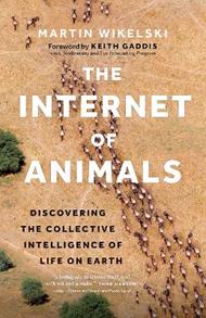 The Internet of Animals: Discovering the Collective Intelligence of Life on Earth