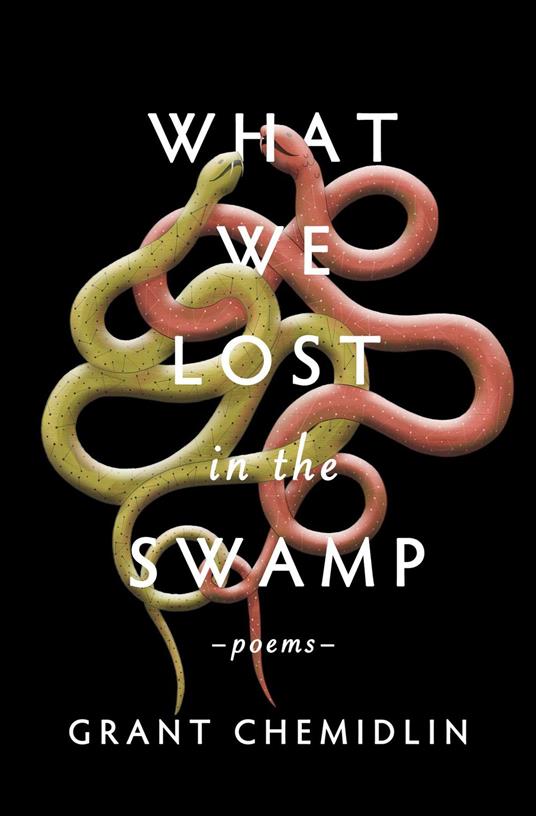 What We Lost in the Swamp