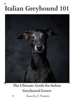 Italian Greyhound 101