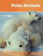 Polar Animals: Set 4