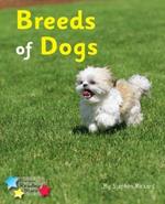Breeds of Dogs: Phonics Phase 4