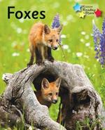Foxes: Phonics Phase 5