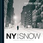 New York In The Snow