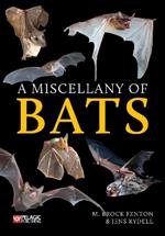 A Miscellany of Bats