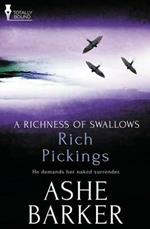 A Richness of Swallows: Rich Pickings