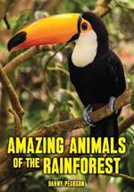 Amazing Animals of the Rainforest