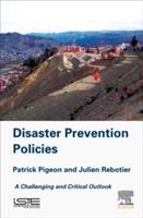 Disaster Prevention Policies: A Challenging and Critical Outlook