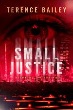 Small Justice