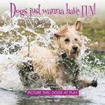 Dogs just wanna have FUN!: Picture this: Dogs at Play