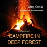 Campfire In Deep Forest