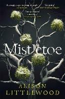 Mistletoe: 'The perfect read for frosty nights' HEAT