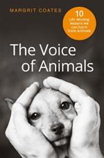 The Voice of Animals: 10 Life-Healing Lessons We Can Learn From Animals