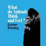 What Do Animals Think and Feel?