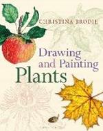 Drawing and Painting Plants