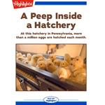 Peep Inside a Hatchery, A