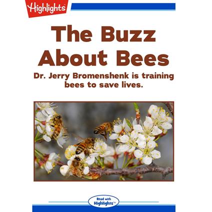 Buzz About Bees, The