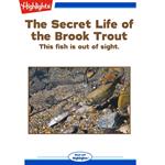 Secret Life of the Brook Trout, The